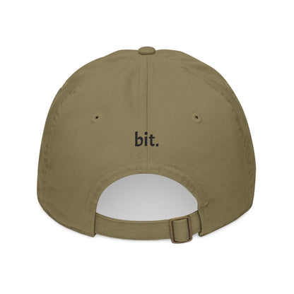 bit. baseball hat