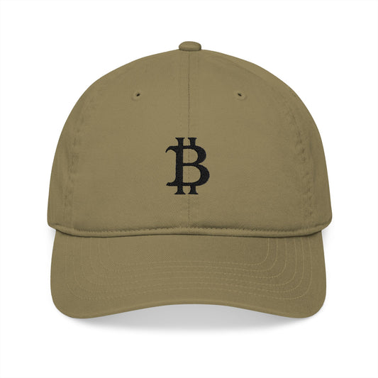 bit. baseball hat
