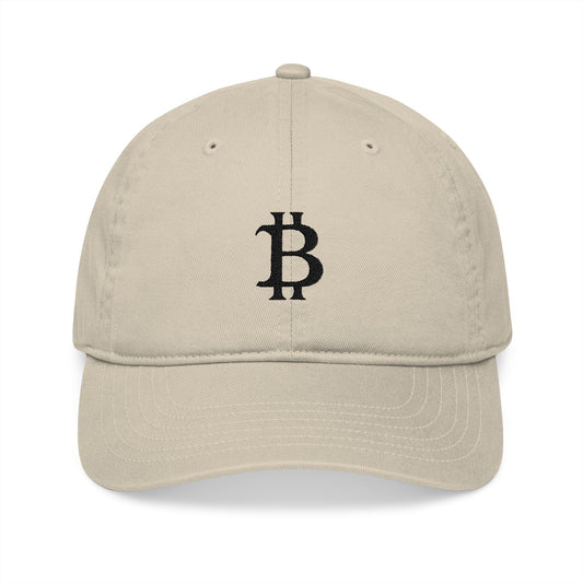 bit. baseball hat