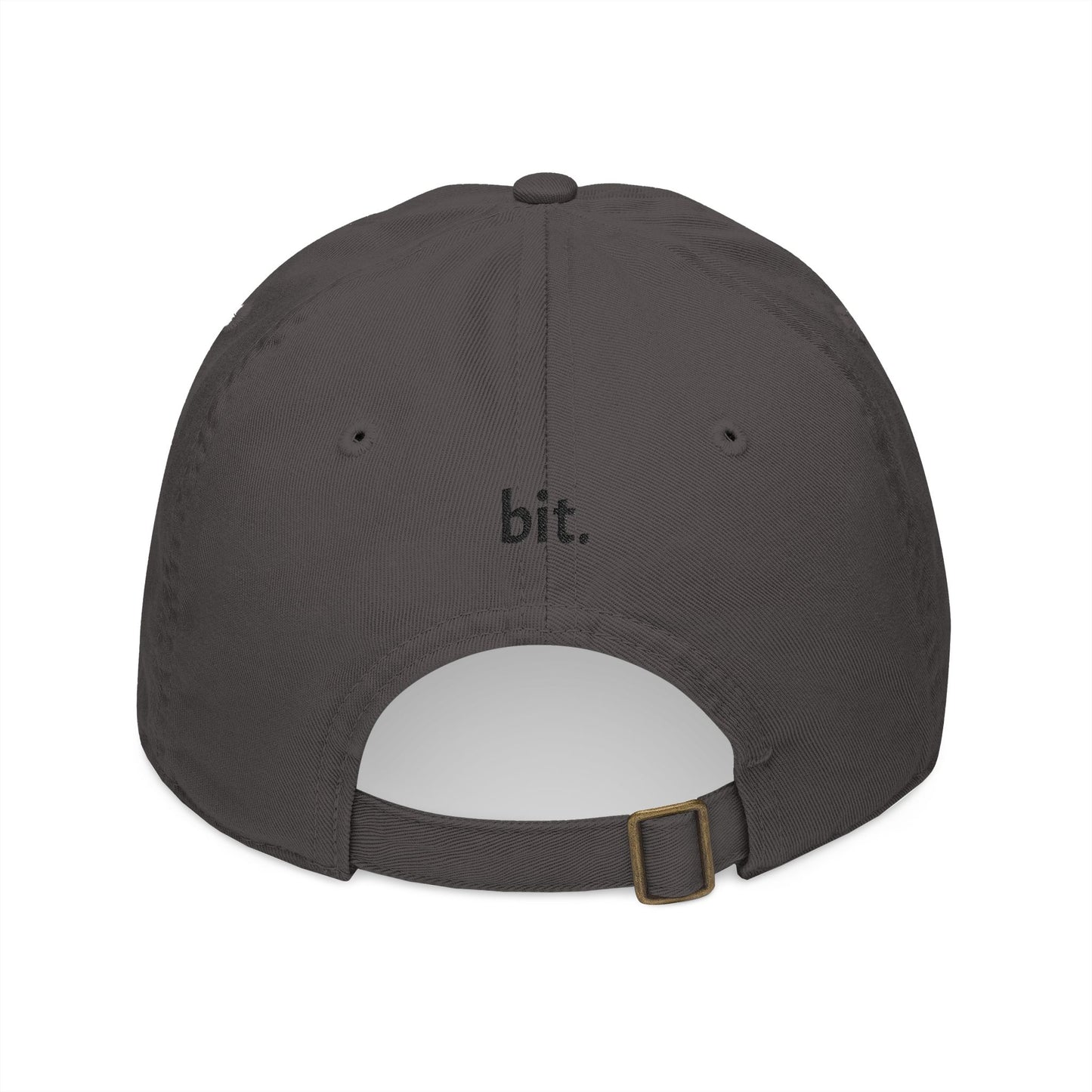 bit. baseball hat