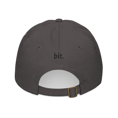 bit. baseball hat